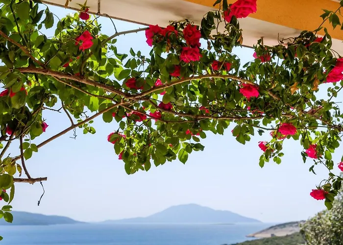 Zorica Διαμέρισμα