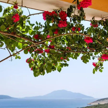 Apartmani Zorica Apartment