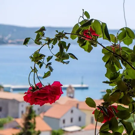Apartmani Zorica Apartment Martinscica (Cres)