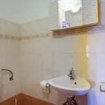 Zorica 아파트 *