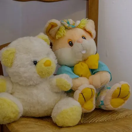 Zorica Apartamento *